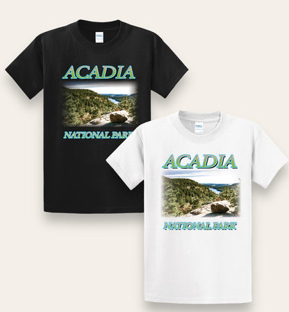 Acadia national park tee V2